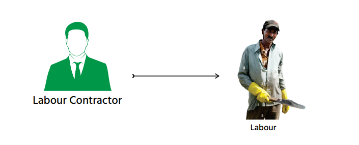 Labour Contractor in Sugar Industry Work Process