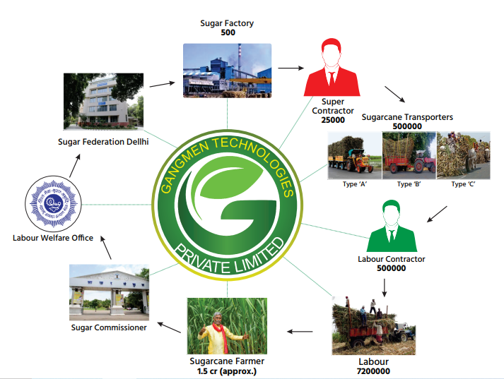 Sugar Industry Work Process