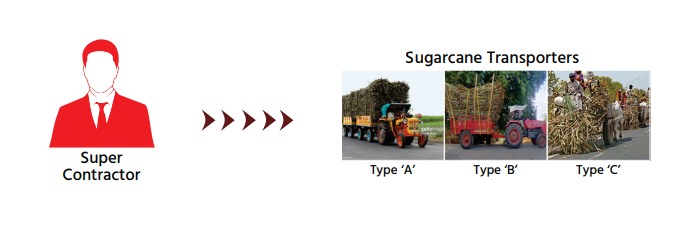 Sugarcane Transporters